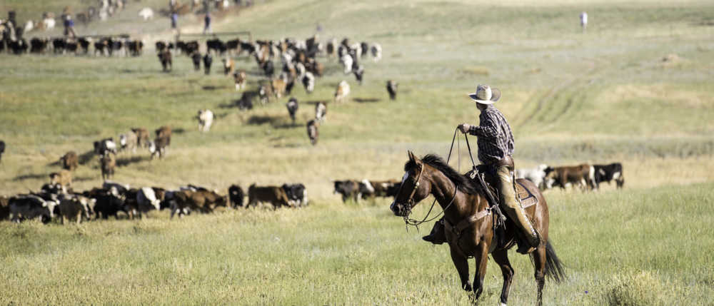 Don't Miss Cheyenne! - Select Traveler | The National Magazine for Bank ...