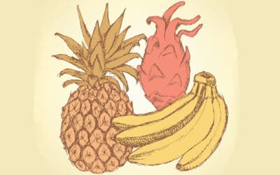 Taste Test: Group Game